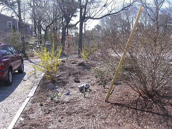 Front flower bed