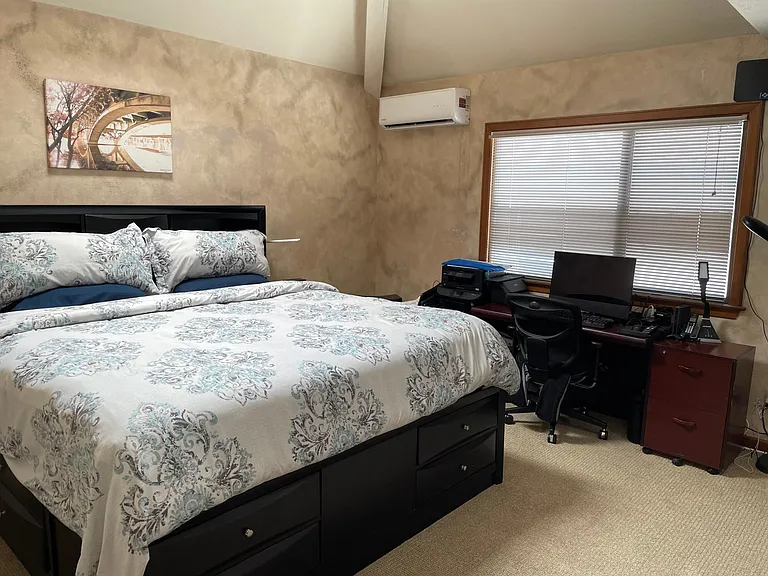 Upstairs master with mini split air conditioner, cathedral ceilings and skylight.
