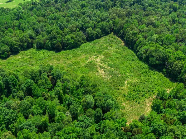 0 Foster Rd Lot 1, Cumberland Furnace, TN 37051