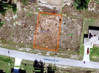 309 Camellia Ct, Poinciana, FL 34759