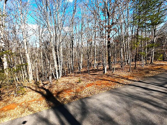 5th image of LOT 19 Gap Bridge Rd