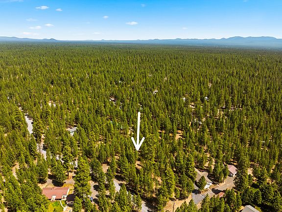 4th image of 51986 Black Pine Way