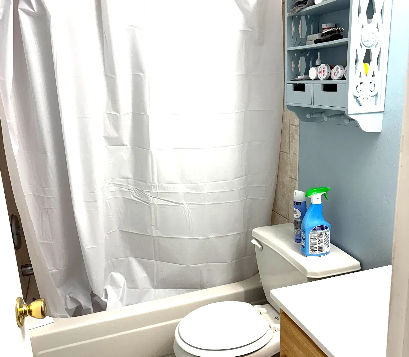 2 bed, 800 sqft, $2,300 — Photo 2