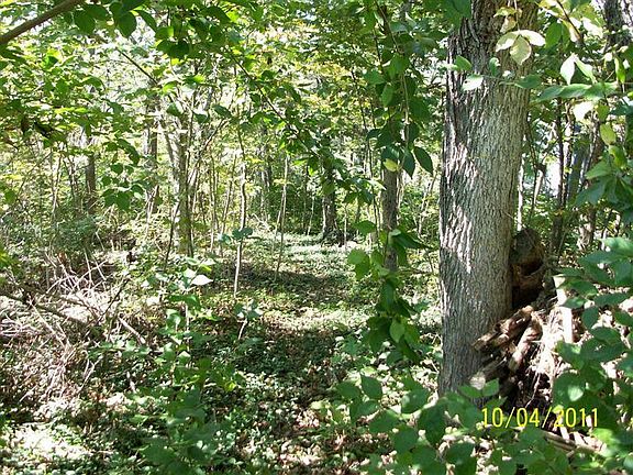 3rd image of 0 Maric Farms Lot 33