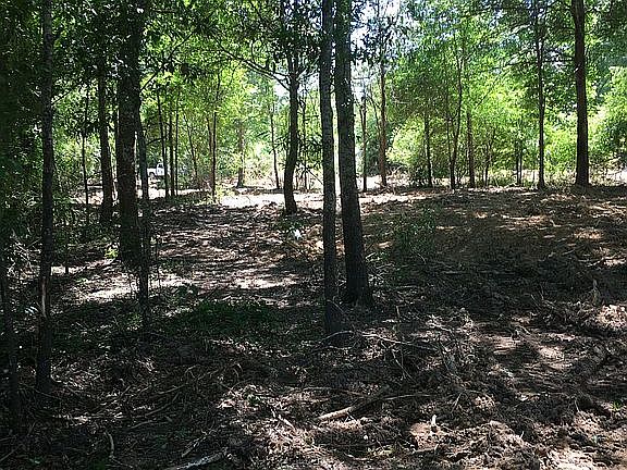 Wooded acre lot