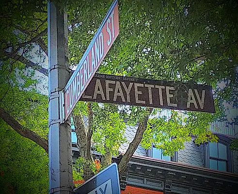 Rented by Nest Seekers International | media 12