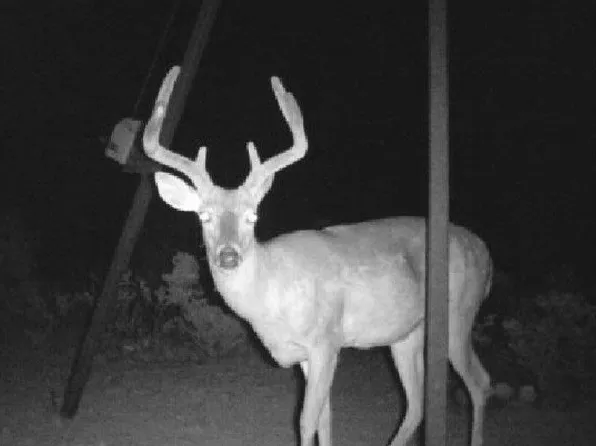 0 Creek Bottom Rnch #7, Del Rio, TX 78840