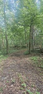 11720 Wamplers Lake Rd, Brooklyn, MI, 49230