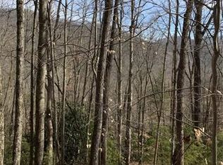 92 Davis Chapel Rd, Candler, NC 28715