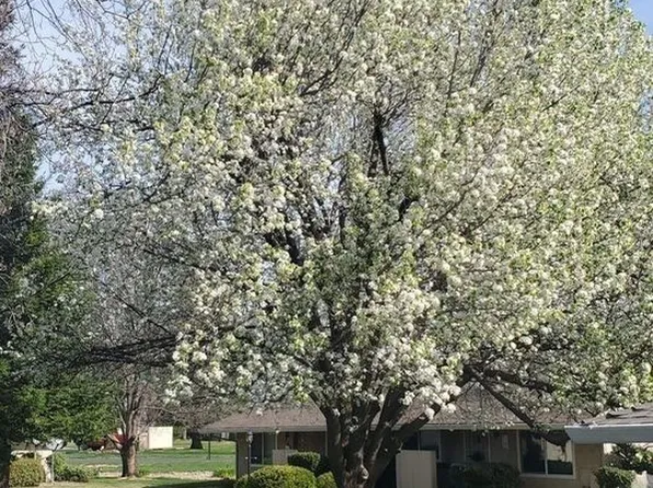 Redding Hilltop Apartments, 105 Hilltop Dr APT 10, Redding, CA 96003