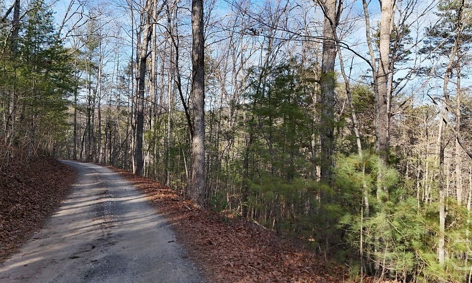 1st image of Lot 1 Gold Valley Road