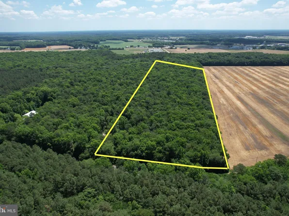 PARCEL 7.02 Savannah Rd, Georgetown, DE 19947