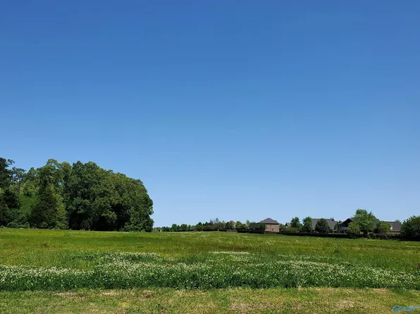 1 Browns Ferry Rd, Madison, AL 35758
