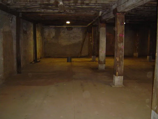 1303 W College St — Photo 22