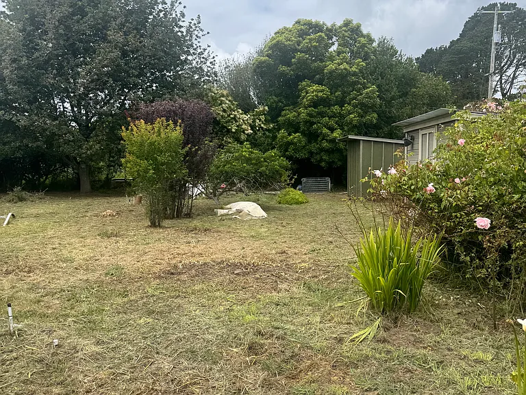 415 Evergreen Rd — Photo 14