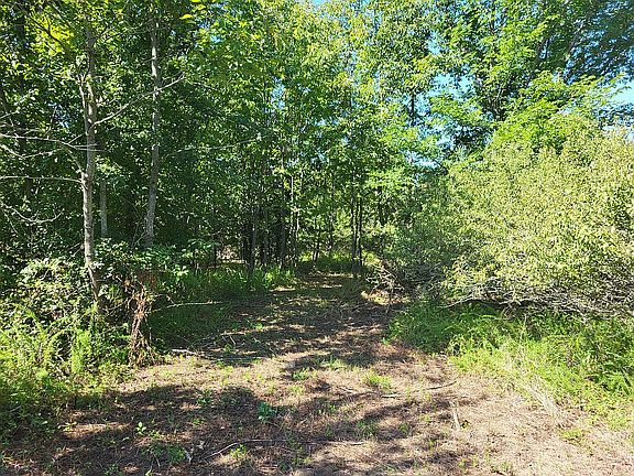 2nd image of 0 Caldwell Ln