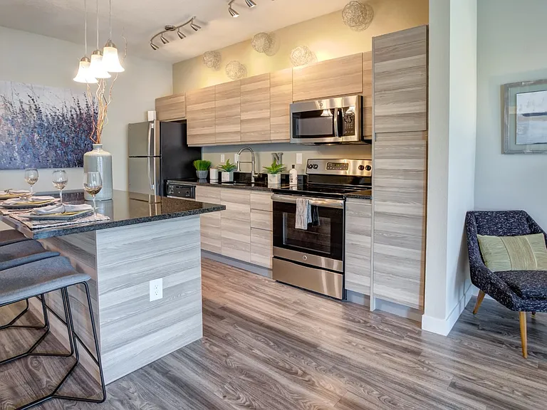 The Nolen Luxury Apartments — Photo 13