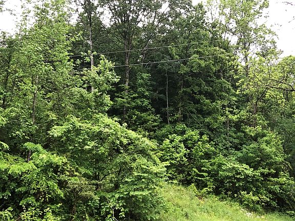 2nd image of 91024 Muddy Hollow Rd