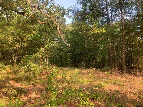 2nd image of County Road 1135