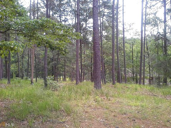 3rd image of 1161 Wrayswood Cir