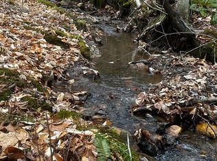 Laurel Fork Rd, Laurel Fork, VA 24352