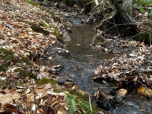 Laurel Fork Rd, Laurel Fork, VA 24352