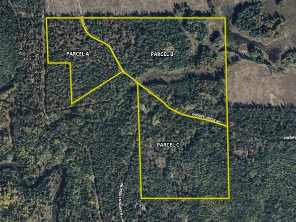 Cherry Creek Trl, Grayling, MI 49738