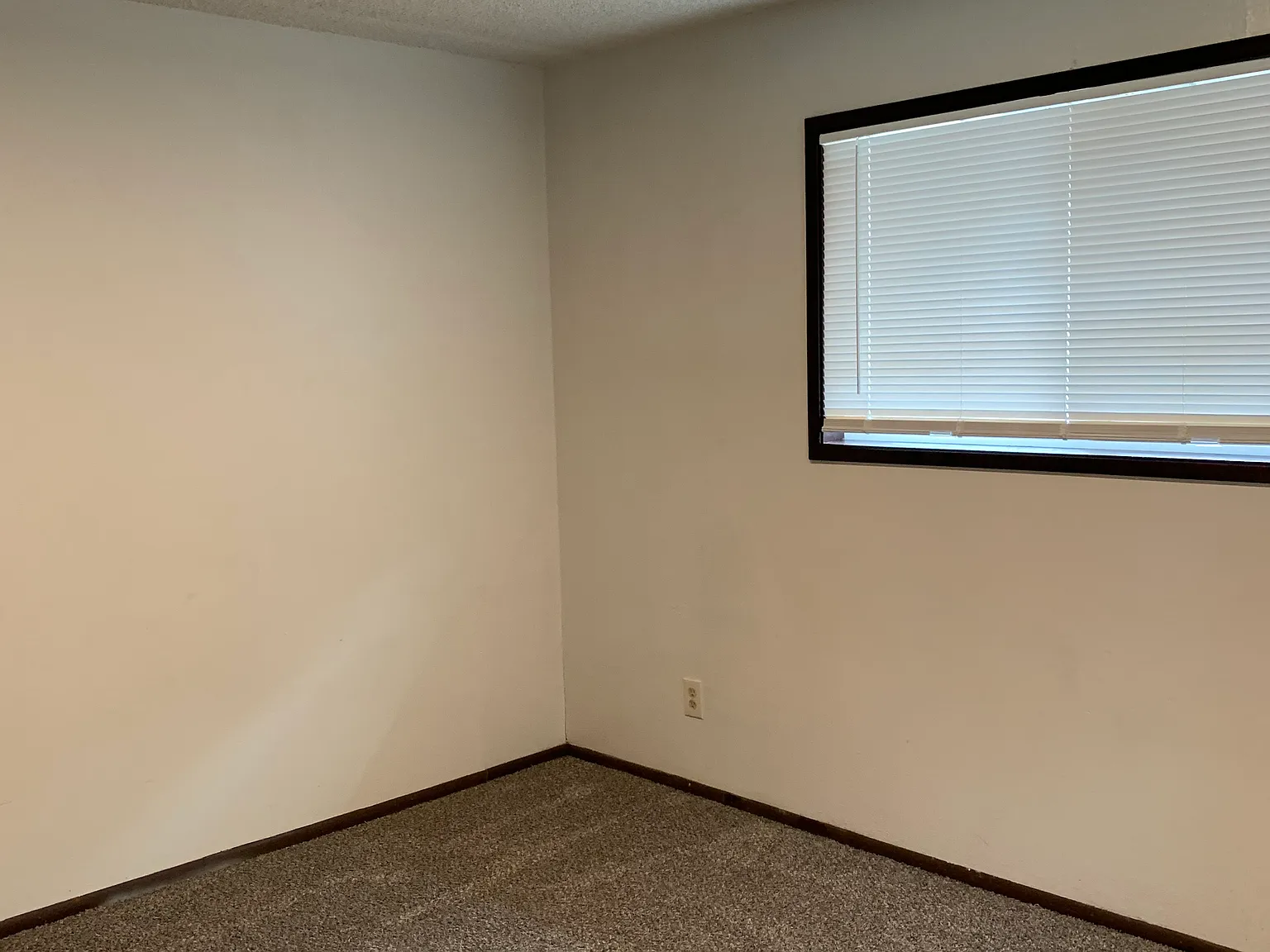 2 bed, $1,250 — Photo 3