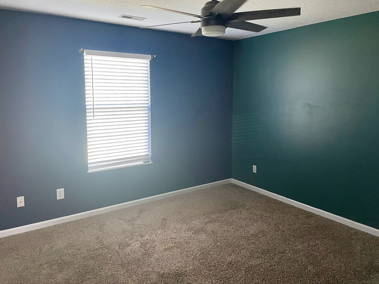 7301 Emerald Farm Way — Photo 4