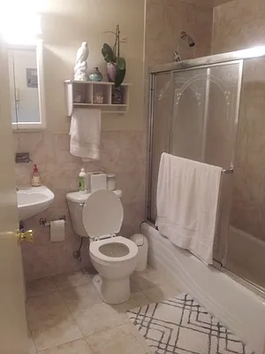 Rented by Jack B Shapiro | media 31