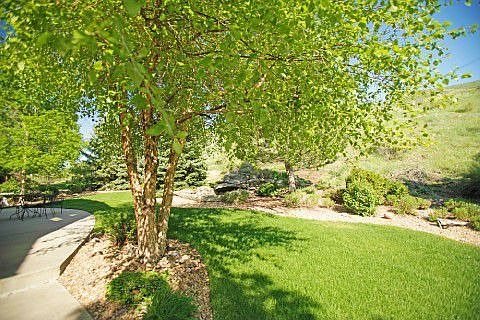 Private serene yard