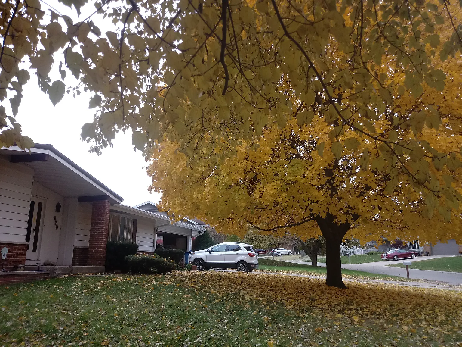 4 bed, 2800 sqft, $2,500 — Photo 2