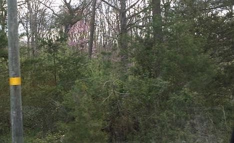 5th image of 618 Central Ave E