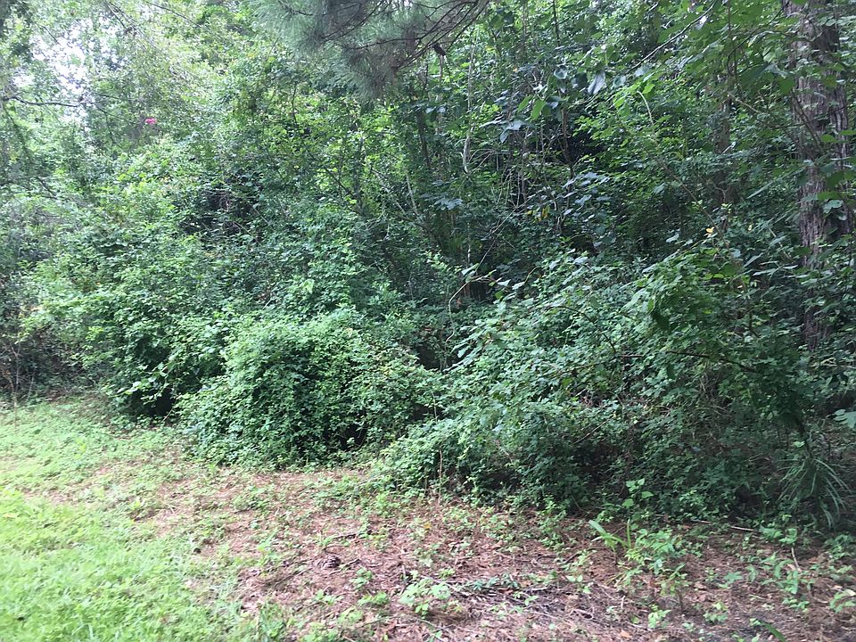 2nd image of 825 Watt Dr