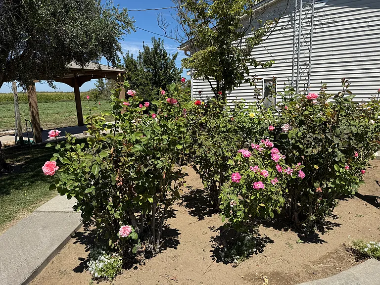 Bloss Ave — Photo 19