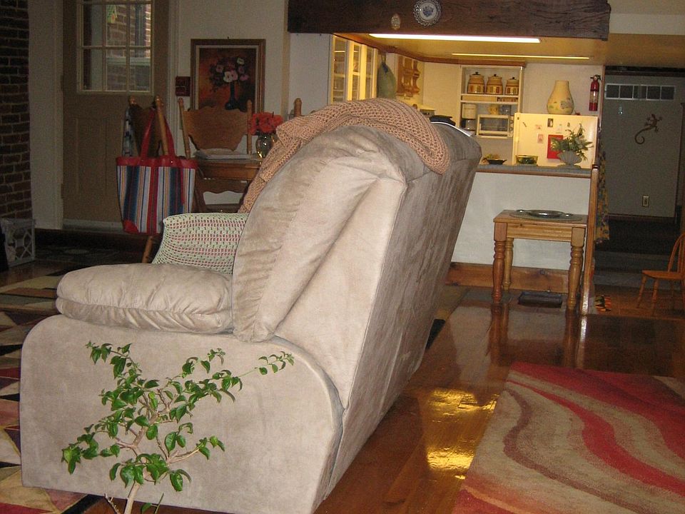 Living room with door to side yard & Kitchen
