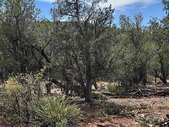 4th image of 179 Arizona Rd