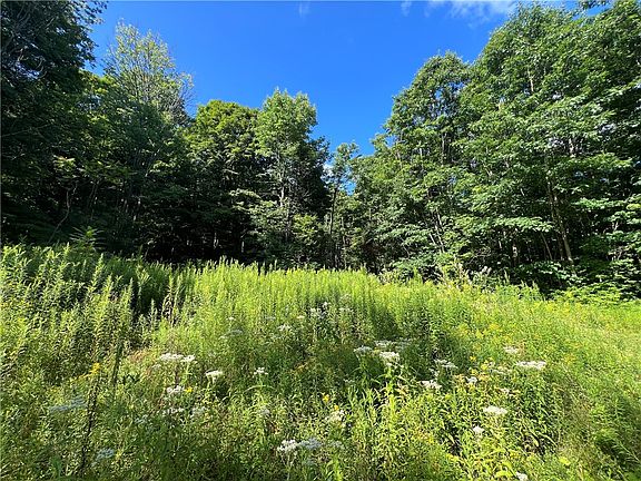 5th image of Old Seventy Six Rd