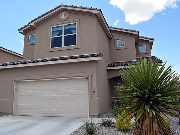 11804 Native Dancer (1)