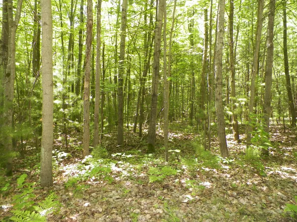 LOT 47 Bramblewood Dr, Cadillac, MI 49601