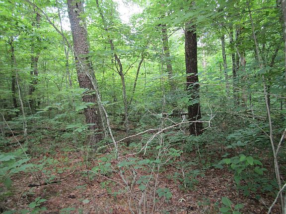 4th image of 0 Fern Pl Lot 27