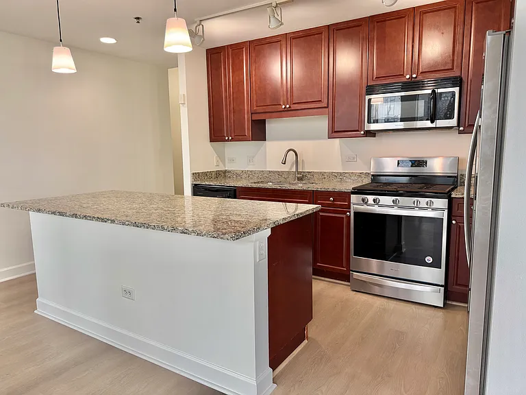 1400 S Michigan Ave #2109 — Photo 16