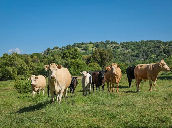 Drive Creek Drive, Badger, CA 93603