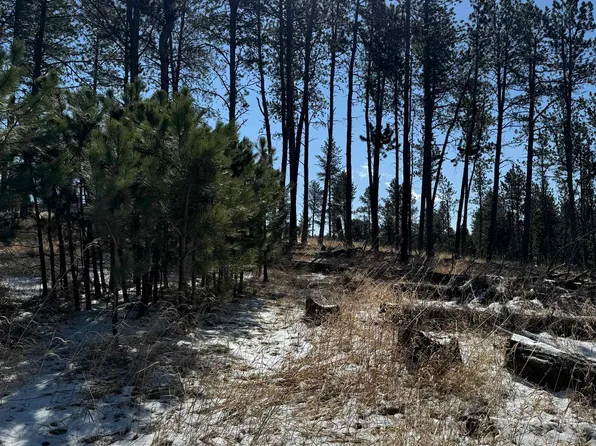 Tbd5 Danby Park Trl, Custer, SD 57730
