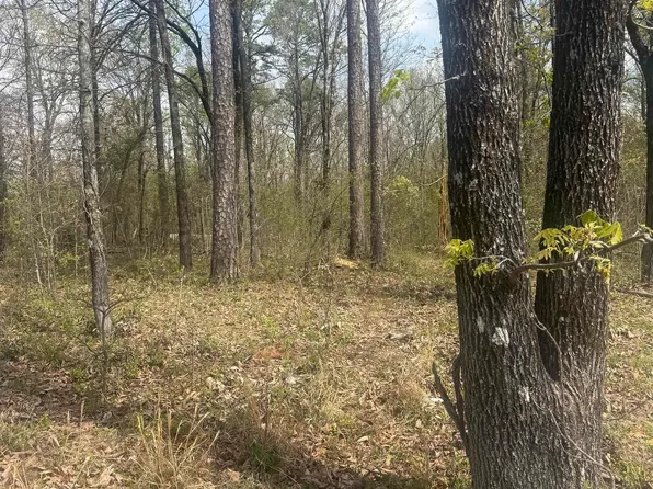 Greene 715 Rd, Paragould, AR 72450