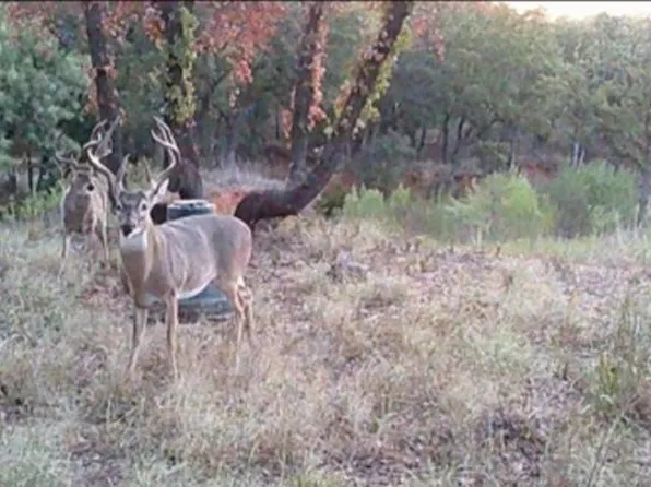 Tbd Sandpiper Dr, Weatherford, TX 76088