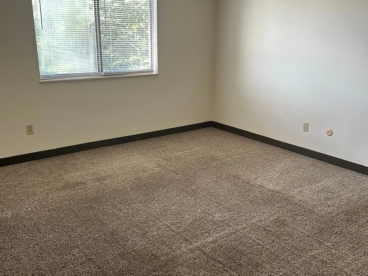 2 bed, 1.0 bath, $995 — Photo 4
