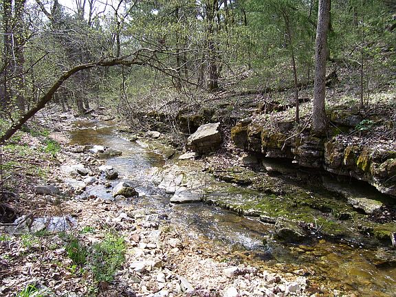 2nd image of 19358 Farm Road 2145