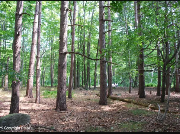 Beechnut Ln, Canadensis, PA 18325