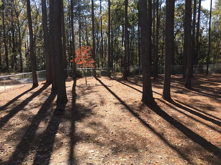1832 Golf Course Rd — Photo 9